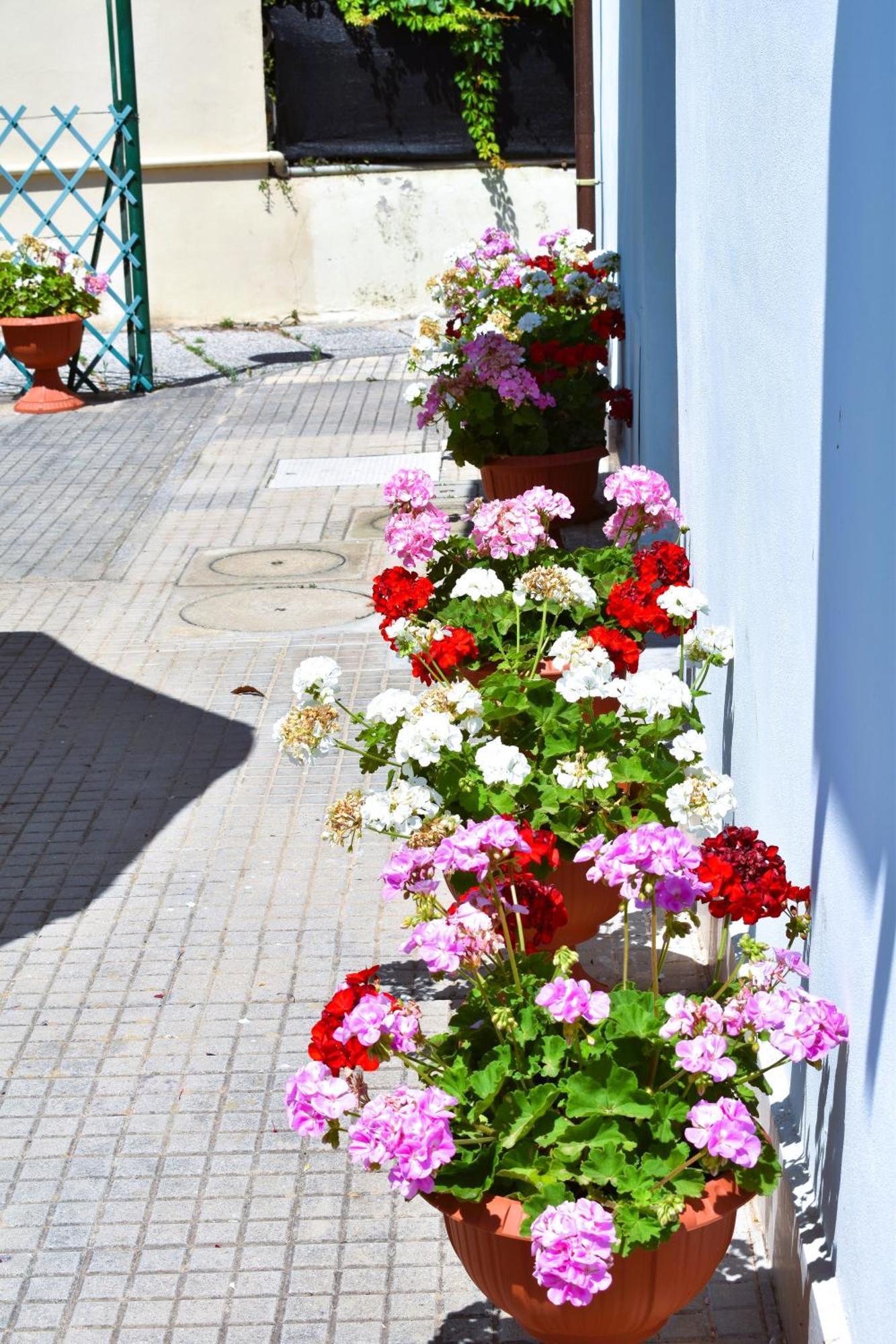 Villino La Perla Azzurra- Marina Di Pisa Villa Exterior foto